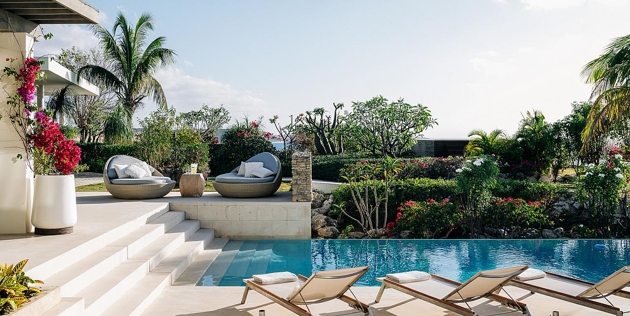 Ani Anguilla