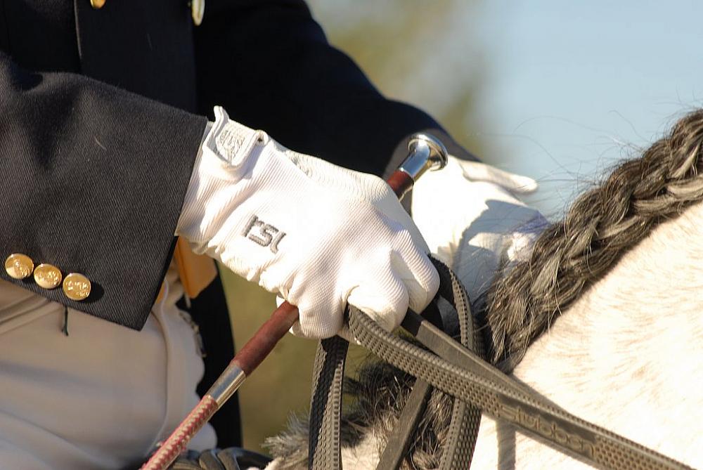 10 bedroom villa in Spain 10 bedroom villa in Spain