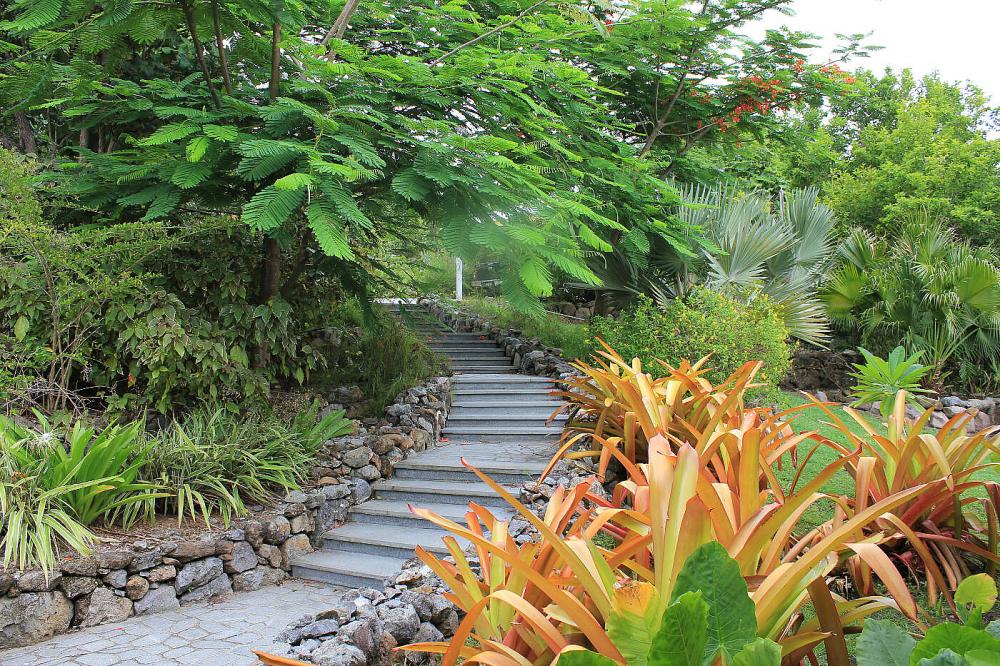 Villa Coccoloba Villa Coccoloba