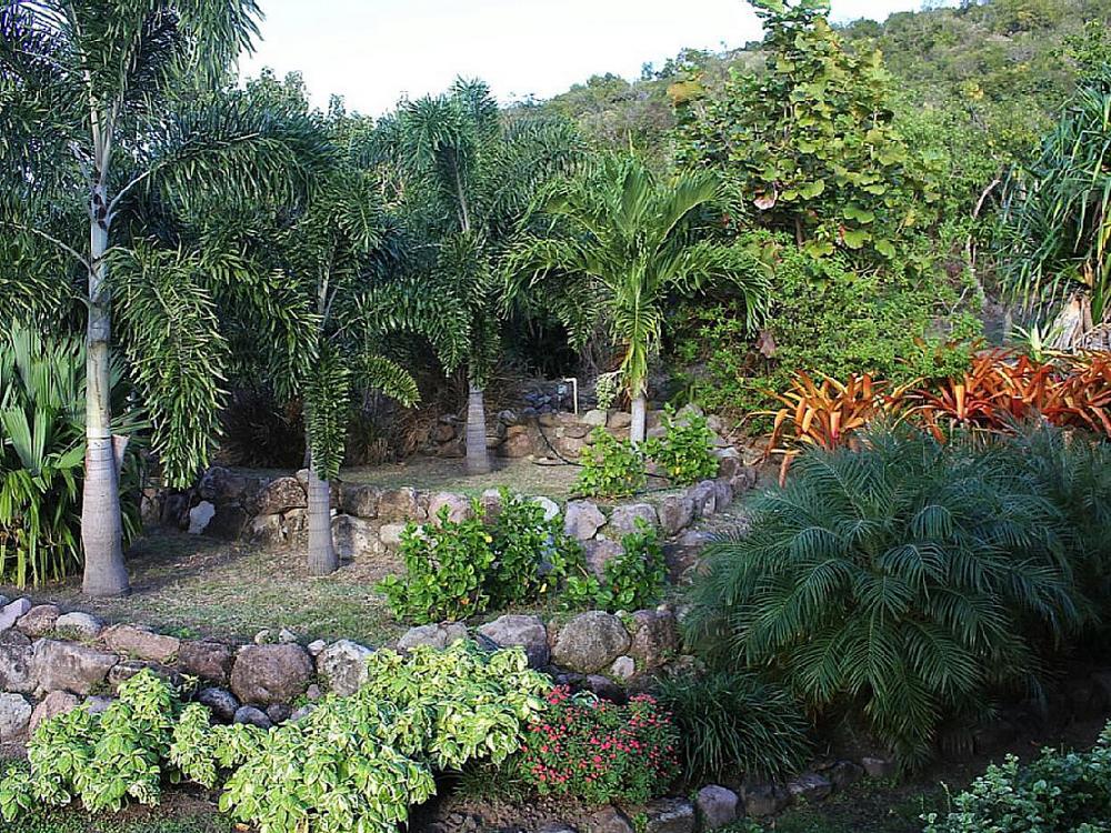 Villa Coccoloba Villa Coccoloba