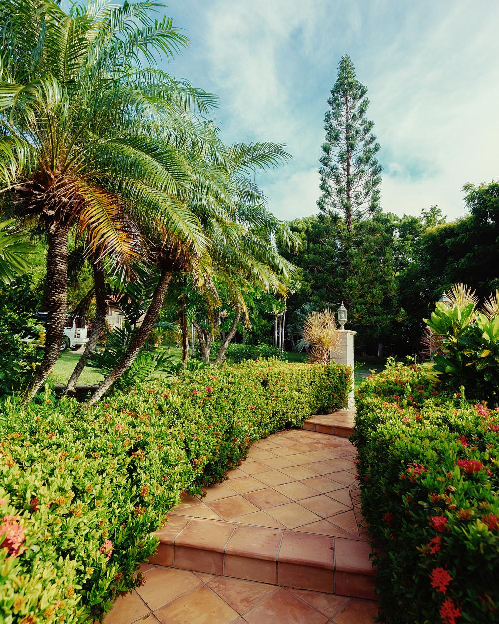 Villa Helianthus Villa Helianthus