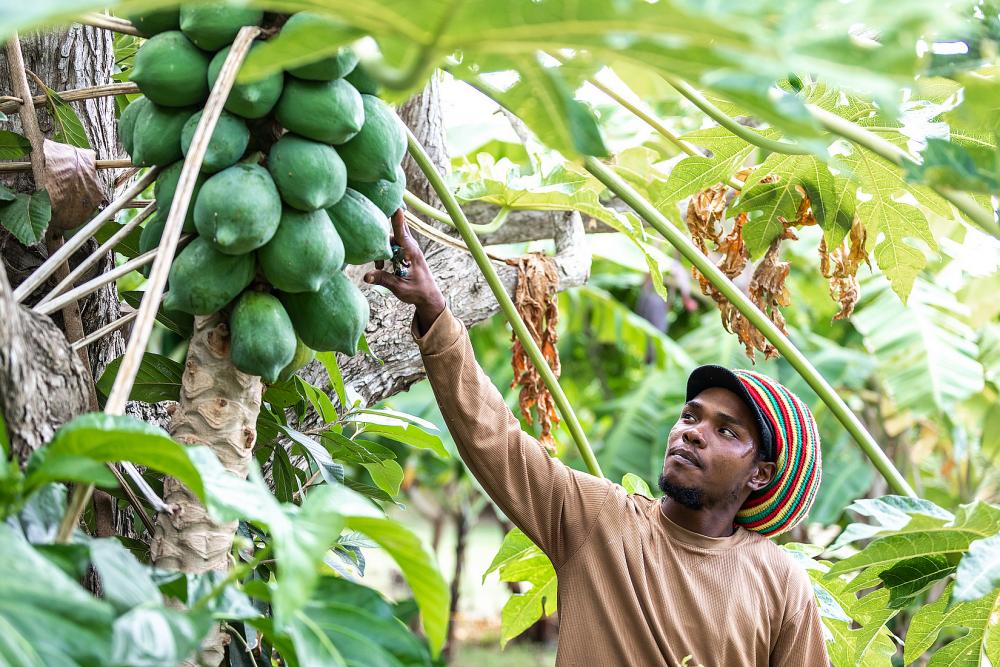 Guana Island - British Virgin Islands Guana Island - British Virgin Islands