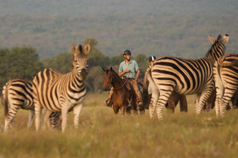 Limpopo, South Africa - 4 Bedroom Lodge Jembisa Limpopo, South Africa - 4 Bedroom Lodge Jembisa