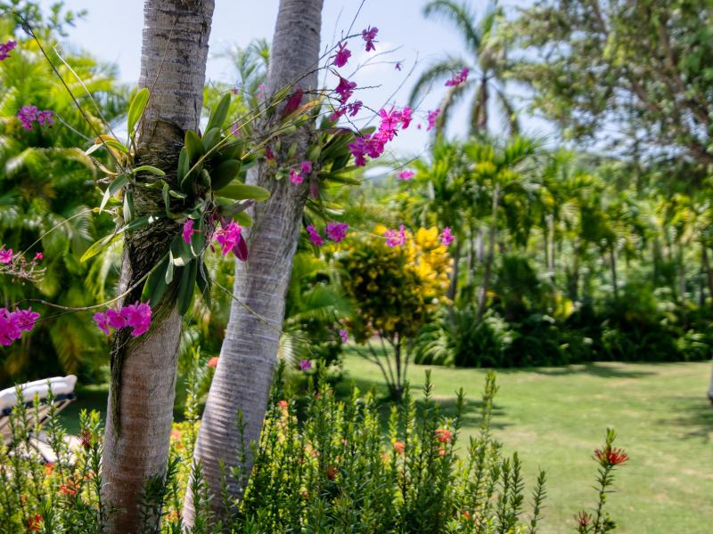 Tryall Club - Ambiance Sea Salt , Montego Bay 