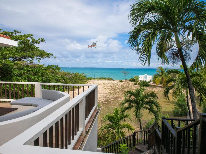 Joie de Vivre , Terres Basses 