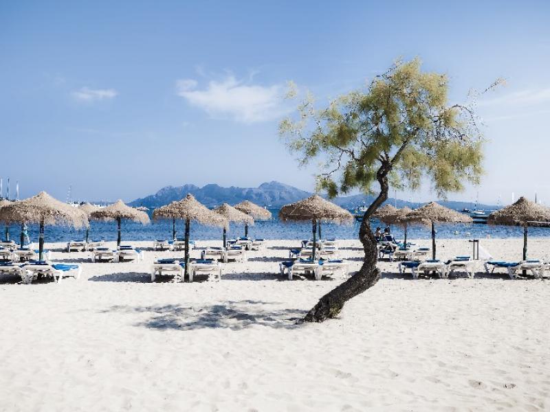 Villa Llenaire , Pollensa 