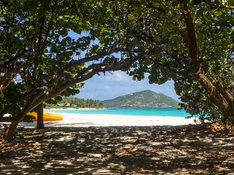 Serendipity - Palm Island , Palm Island 