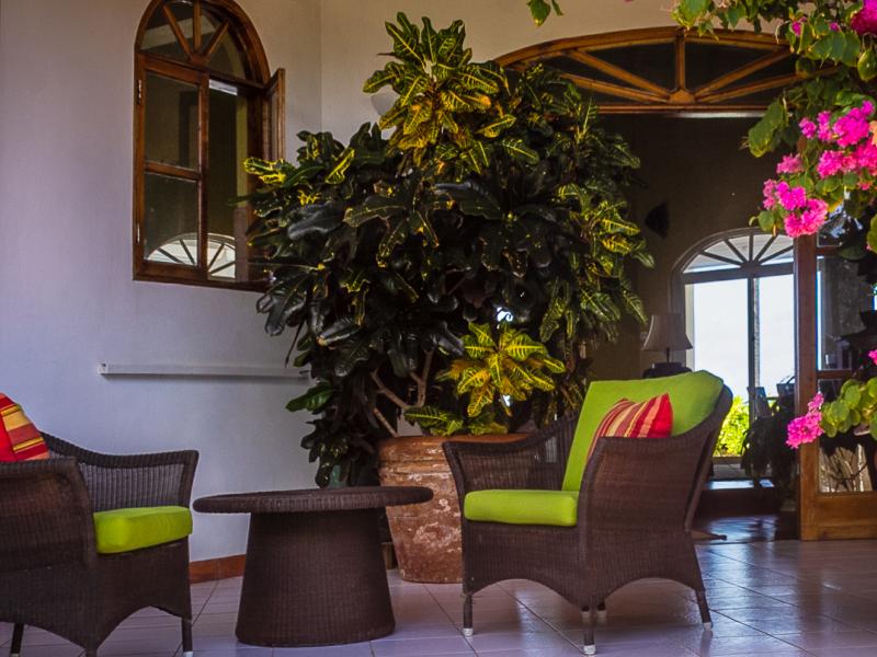 Serendipity - Palm Island , Palm Island 