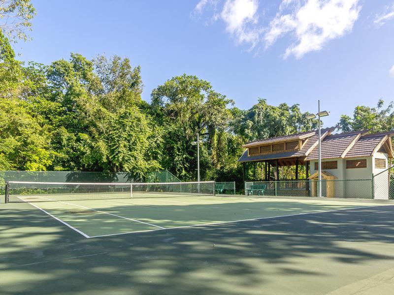 Buttonwood Reef and Sea Biscuit Cottage , Ocho Rios 