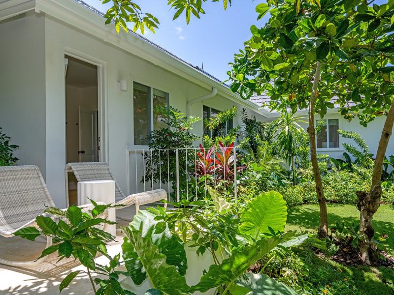 Abacus , Montego Bay , Spring Farm 