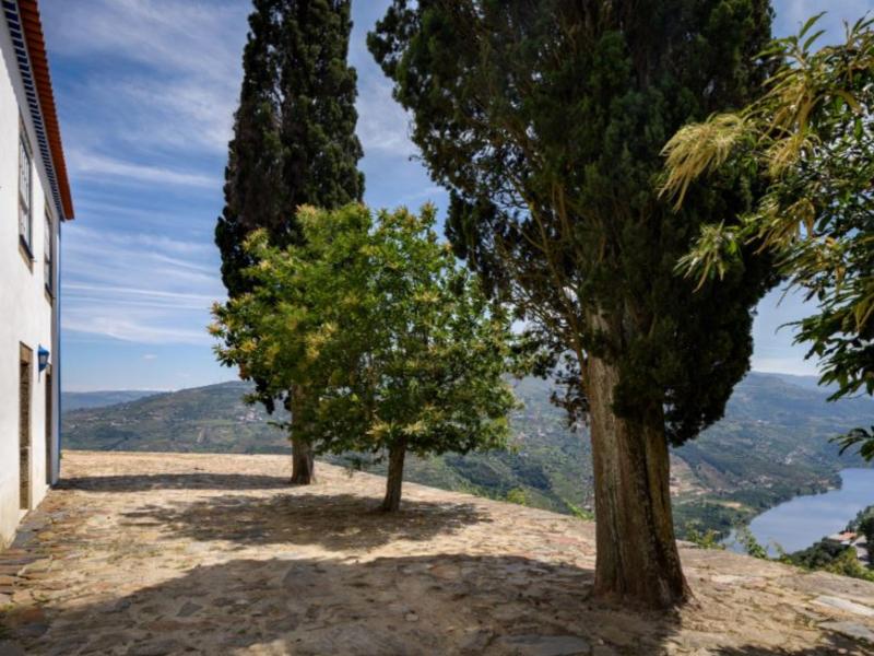 Quinta Durius , Douro 