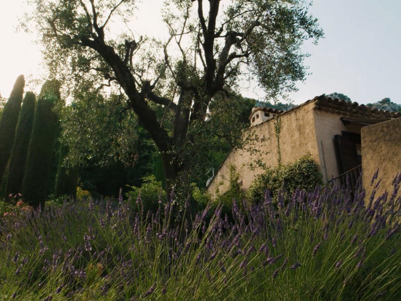 Reve de Vence , Cote D'Azur 