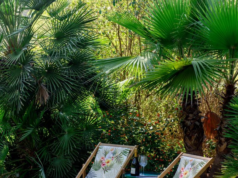 Villa Eliana , Ibiza 