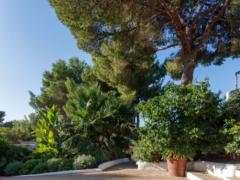 Villa Esther , Ibiza 