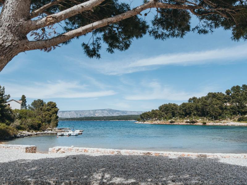 Villa Pinus , Islands 