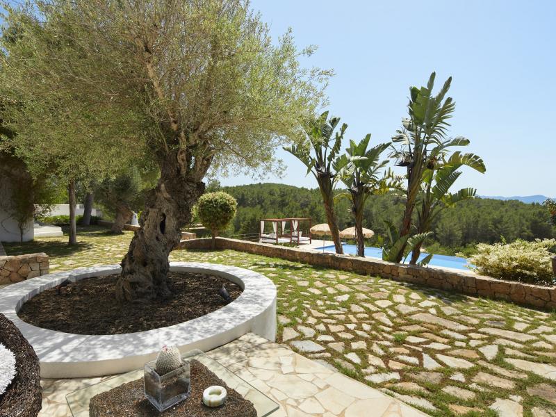 Villa Petunia , Ibiza , Santa Gertrudis 