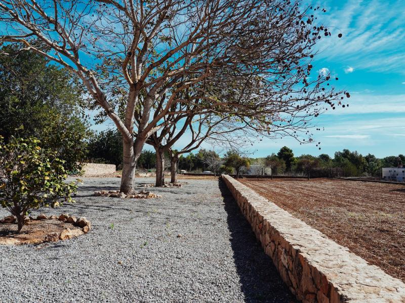 Villa Trevi , Ibiza , San Carlos 