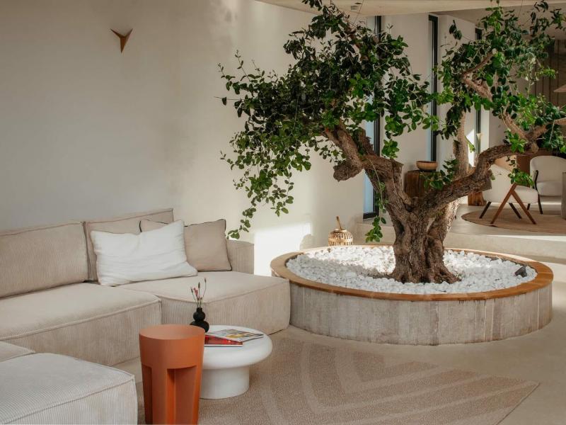 Villa Oliveto , Islands 