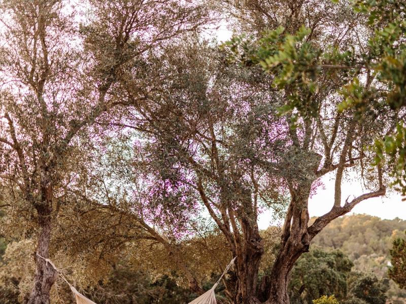 Finca Utopia , Ibiza 