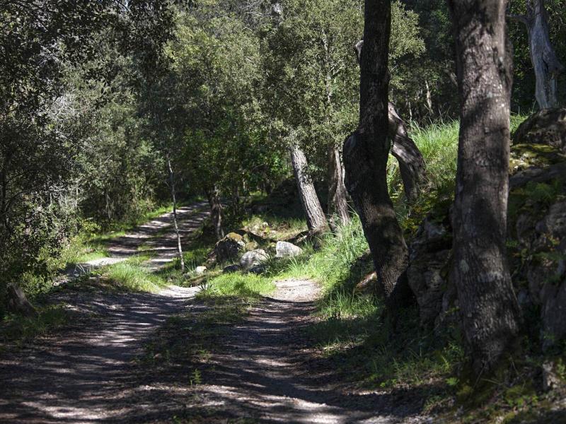 Casa Agoura , Pollenca-Lluc 