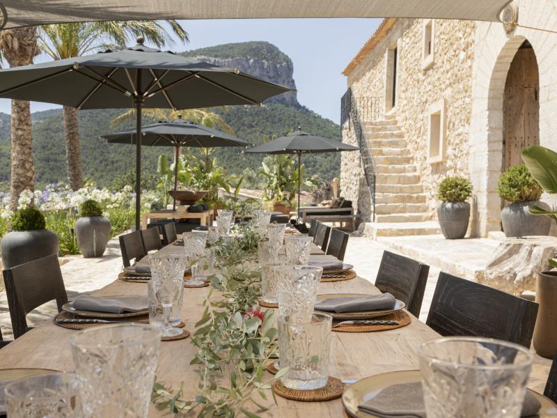 Fedele Estate , Alaro 