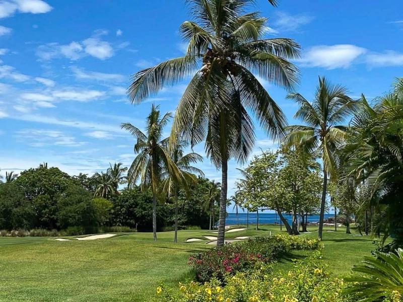 Villa Esperanza Palmas 7 , Punta Mita 