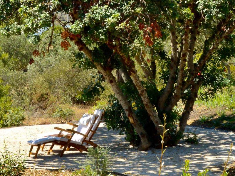 Villa Lage , Algarve , Luz 