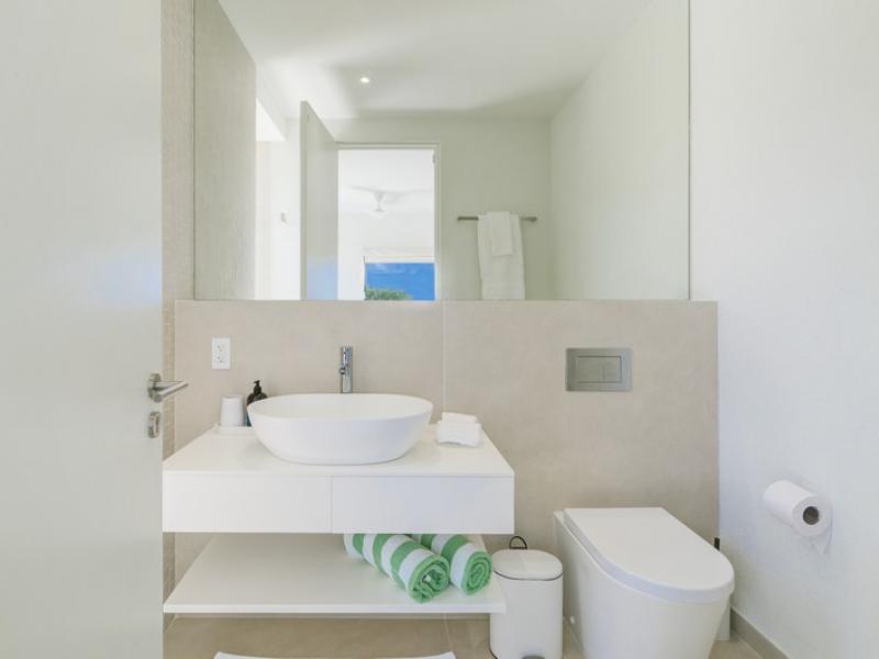 Monkey Ridge , St James , West Coast Barbados 