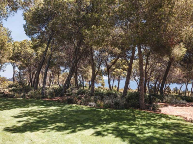 Villa Aurea , North East 