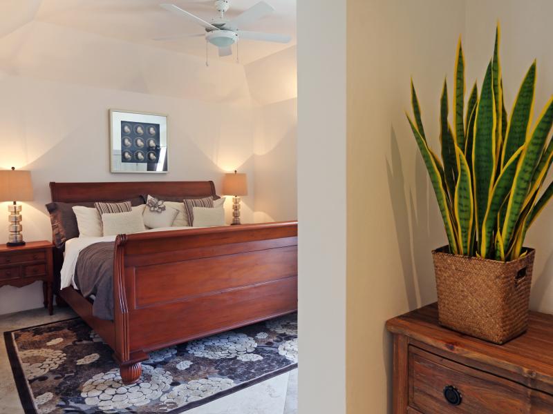 Equinox , Cap Estate 