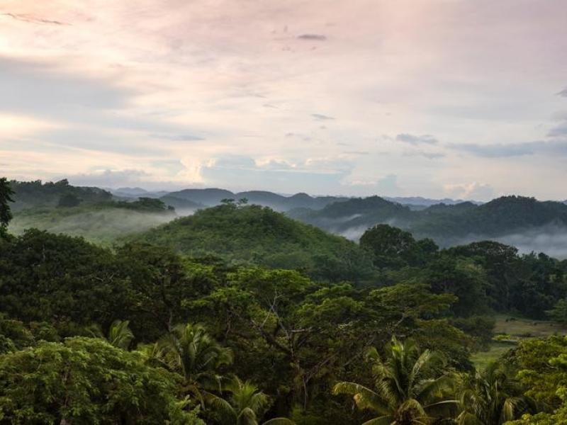 Country House at Good Hope , Montego Bay 