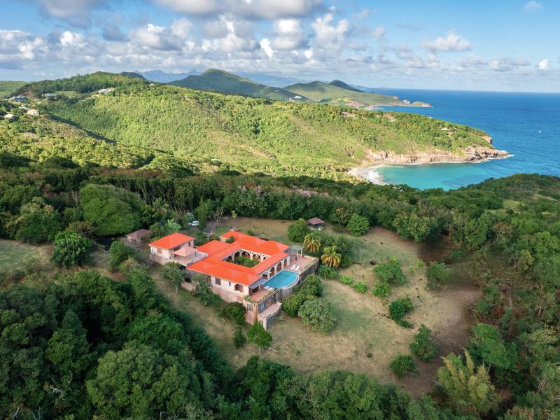 Helianthus , Mount Pleasant 