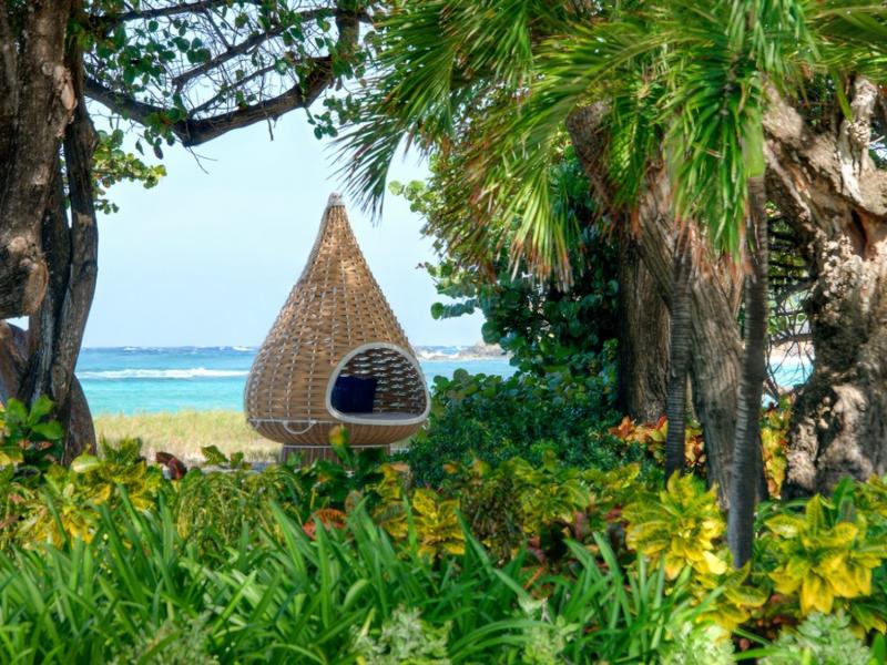 Jacaranda , L'Ansecoy Bay 