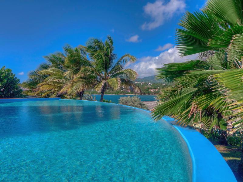 473 Grenada Boutique Resort , St Georges 