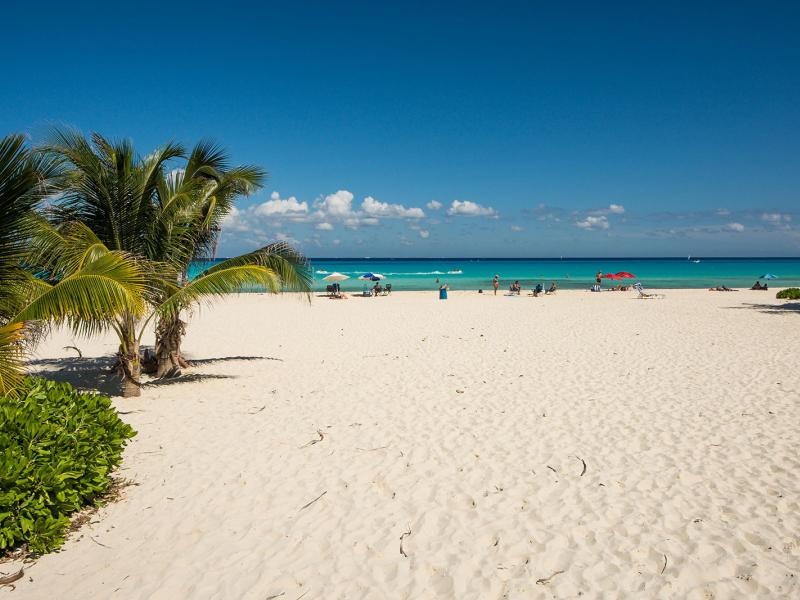 Estrella del Mar , Mayan Region , Playa Del Carmen 