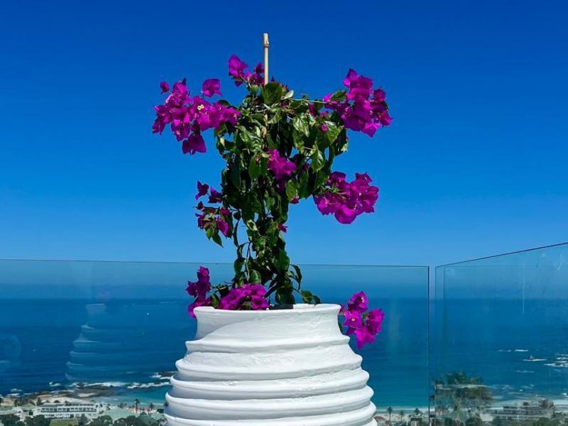 Greg's House, Camps Bay , Camps Bay , Cape Town 